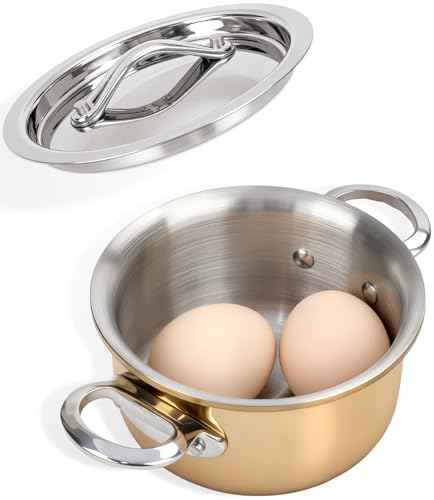 Mini Sauce Pan with Lid