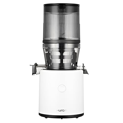 H320N Cold Press Juicer Machine