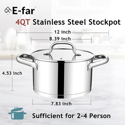 4 Quart Stock Pot with Lid