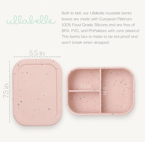 Kids Bento Box