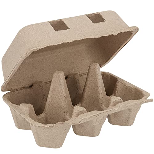 40 Pack 6 Cell Empty Egg Cartons (40 Count)