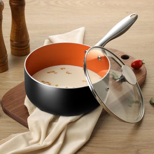 Sauce Pan with Lid