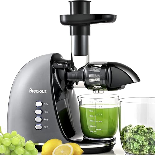 Slow Masticating Juicer