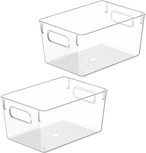 Clear Plastic Storage Bins (2 Count)