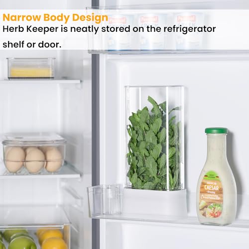 Herb Keeper for Refrigerator