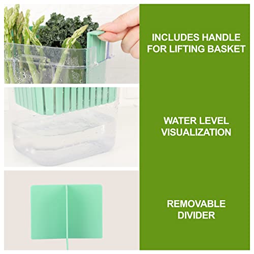 2 Pack Fresh Herb Keeper for Refrigerator (2 Count)