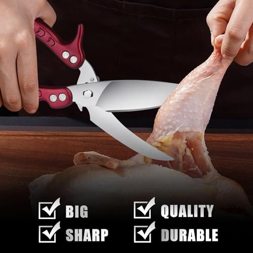 Heavy Duty Poultry Shears