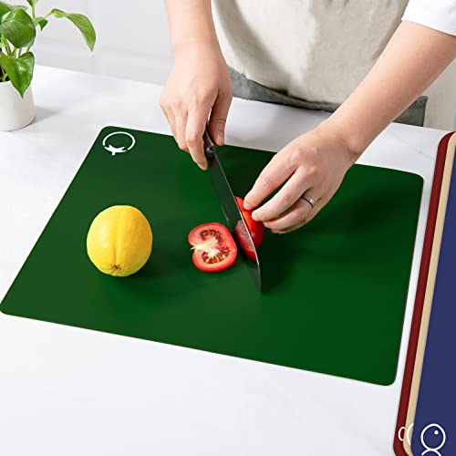 Plastic Flexible Cutting Boards for Kitchen Set of 4 (4 Count)