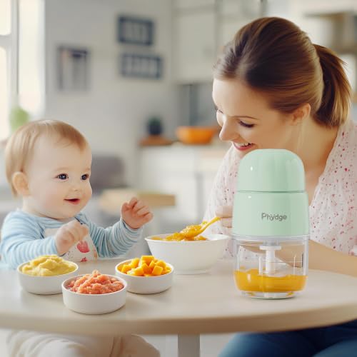 Baby Food Maker Blender