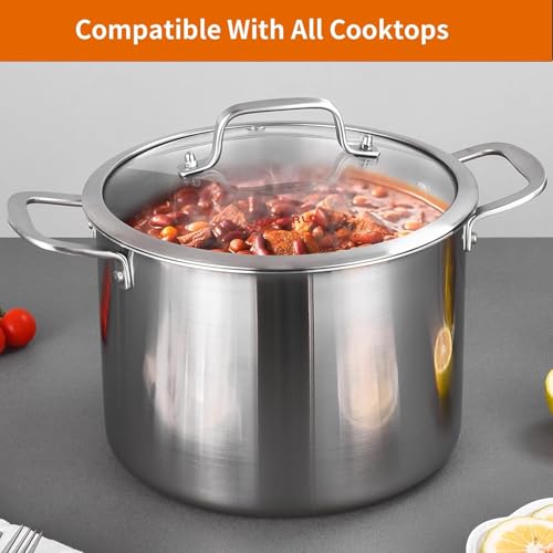 Tri ply Stainless Steel 12 Quart Heavy Duty Induction Stock Pot