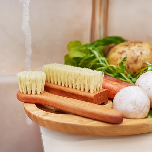 Vegetable Brush Set of 2 (2 count count)