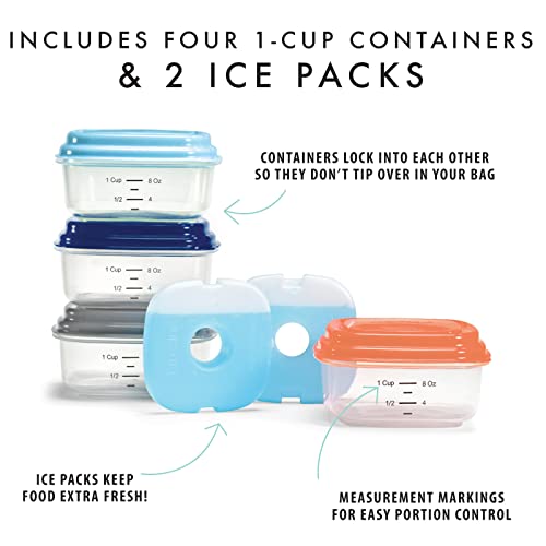 Small Plastic Containers With Lids 8 oz (6 Count)