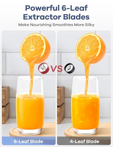Smoothie Blender