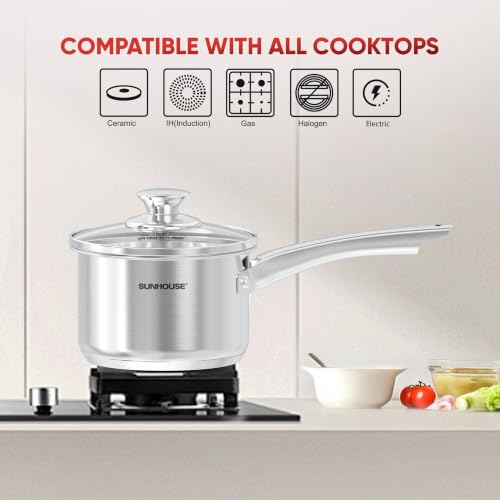 Stainless Steel Saucepan