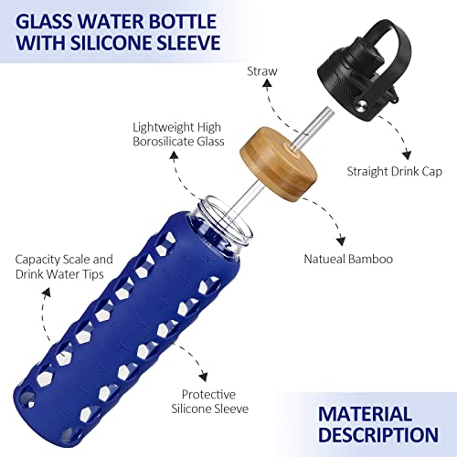 Glass Water Bottle