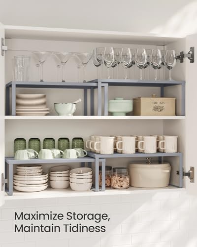 Set of 2 Metal Spice Racks (2 Count)