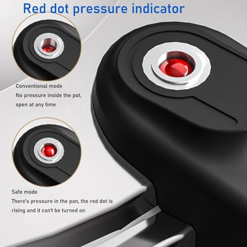 Stainless Steel Pressure Cooker