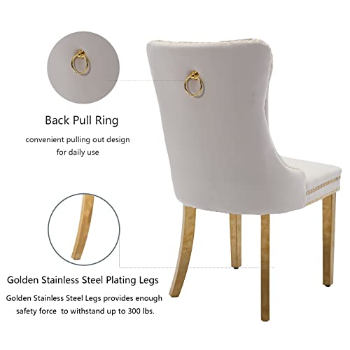 Beige and Gold Velvet Dining Chairs Set of 6 (6 Count)