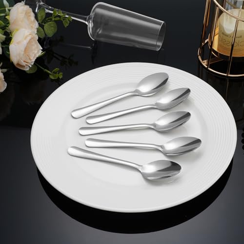 Windsor 60 Pcs Stainless Steel Dinner Spoons (60 Count)