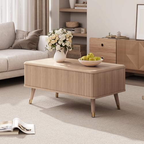 Lift Top Coffee Table with Storage for Living Room