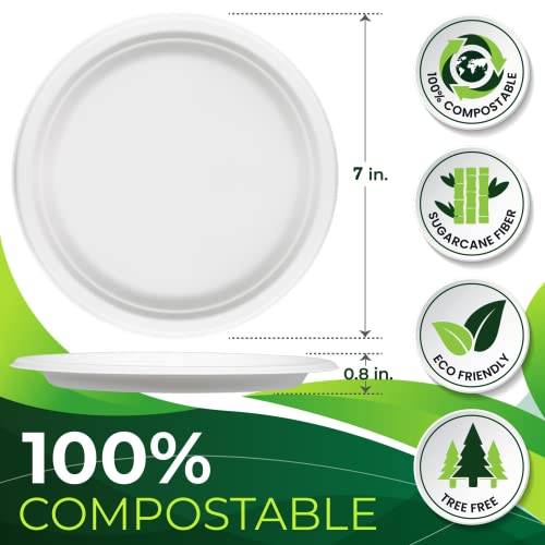 150pcs 100% Compostable Small Paper Plates (150 Count)