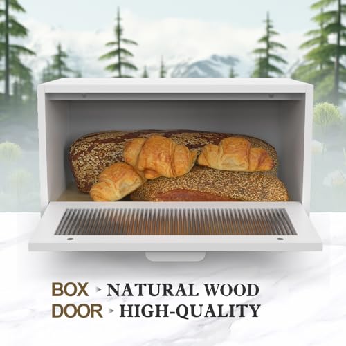 Bread Box for Kitchen Countertop