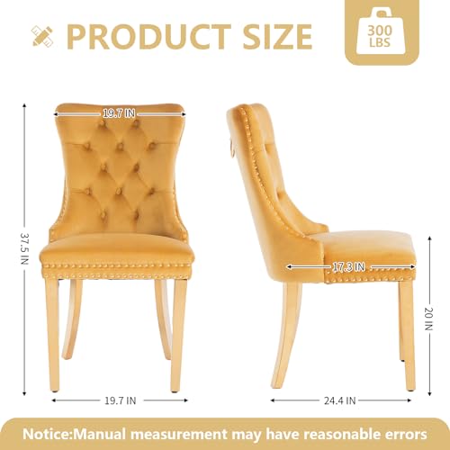 Gold Velvet Dining Chairs Set of 2 (2 Count)