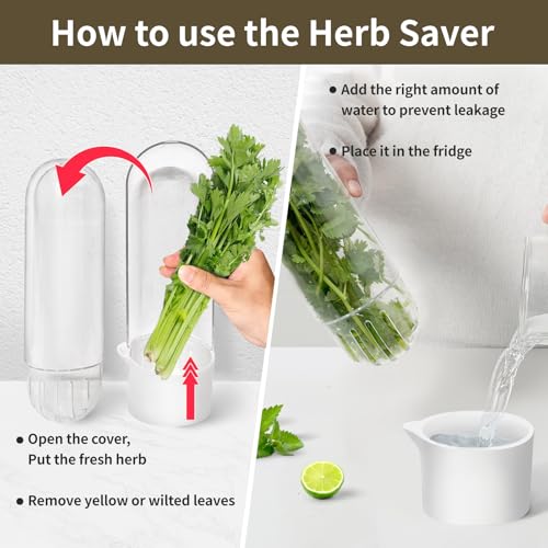 Herb Keeper for Refrigerator