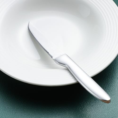 Silverware Set with Steak Knives (20 Count)