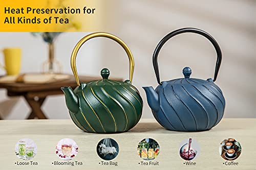Japanese Cast Iron Tea Kettle with Infuser for Loose Leaf and Tea Bags