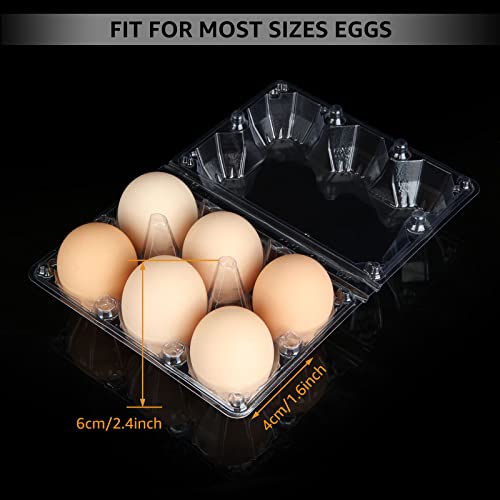 100PCS Egg Cartons Cheap Bulk (100 Count)