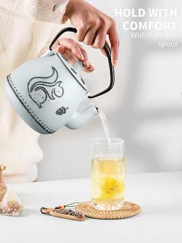 Teapot with Removable Infuser