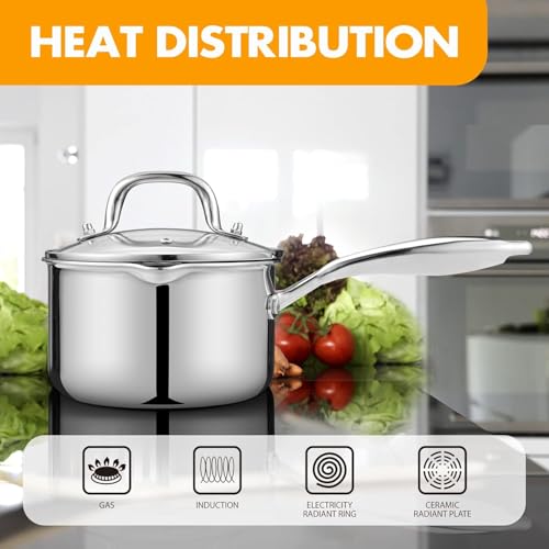 Stainless Steel Saucepan with Glass Lid