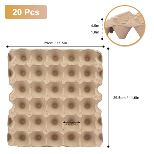 20 Flats 30 Cell Egg Crate?Holds 30 Eggs? (73.6 Ounce)
