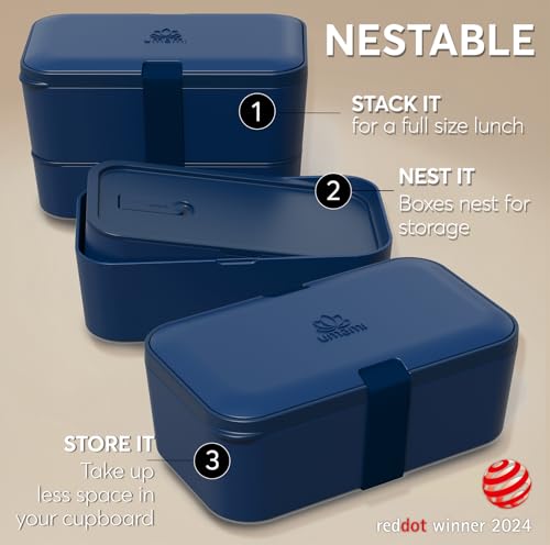 Bento Box Adult