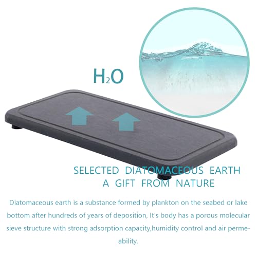 2Pcs Water Absorbent Diatomite Coasters Bathroom Sink Stone Trays (2 Count)