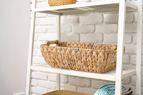 Water Hyacinth Storage Baskets with Wooden Handles (2 Count)