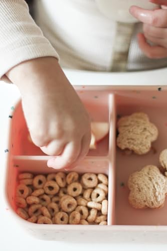 Kids Bento Box