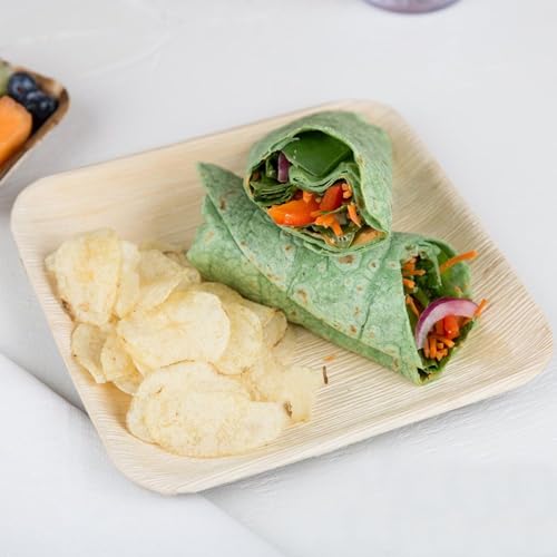 Raj Bamboo Disposable Heavy Duty 6" Square Plates 300 Pack (300 Count)