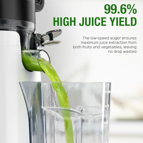 Cold Press Juicer Machine