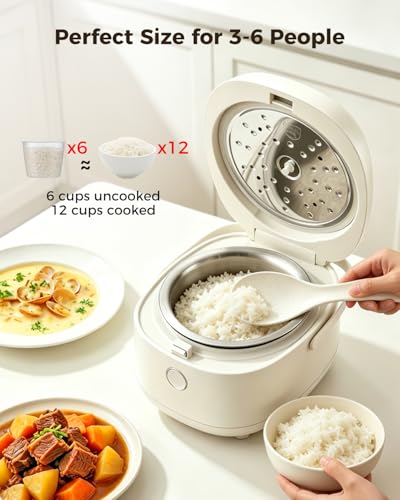 Stainless Steel Rice Cooker Small 6 Cup
