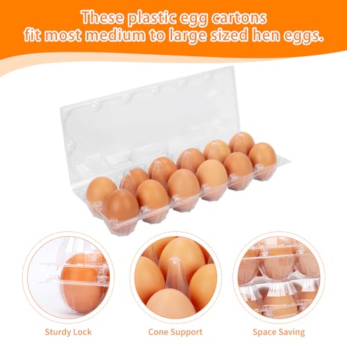60 Pack Plastic Egg Cartons Cheap Bulk (60 Count)