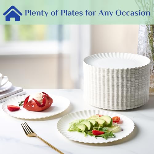 9 Inch Paper Plates (300 Count)