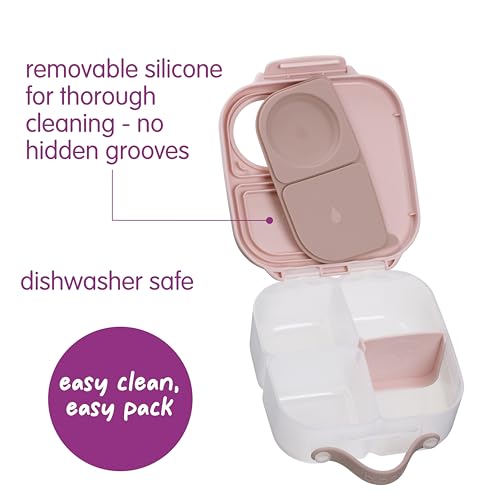 Mini Lunch Box