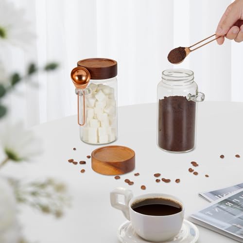 18oz Glass Coffee Jars with Scoop Wood Screw Lid Clear Round Spice Jar Herb Container Sugar Storage Bottle Canister for Seasoning Meal Prep Tea Coffee Ground Bean Salts