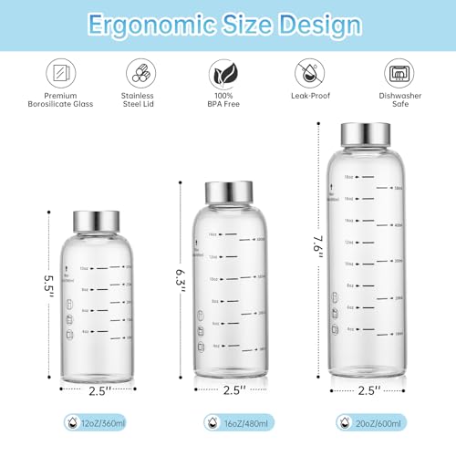 Glass Juice Bottles 4 Pack 16 oz (4 Count)