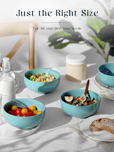22 OZ Ceramic Soup Bowls & Cereal Bowls (4 Count)