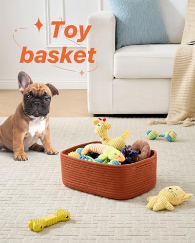 Small Woven Storage Basket for Organizing (3 Count)