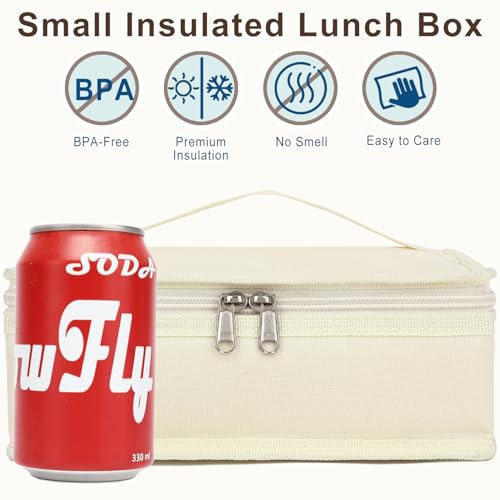 Small Insulated Lunch box Portable Soft Bag Mini Cooler Thermal Meal Tote Kit with Handle for Work & School