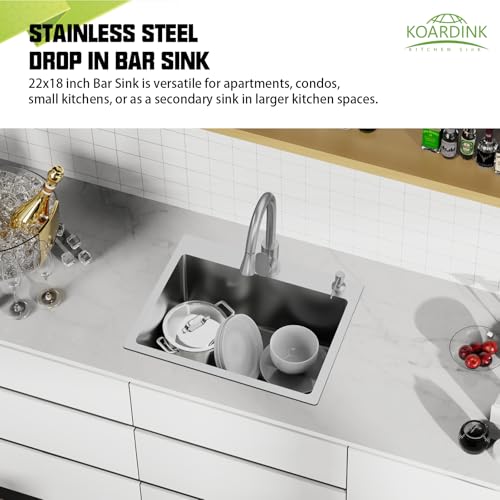 Kitchen And Bar Sink